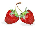 Fragole Fragole