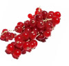 Ribes Ribes