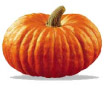 Zucca Zucca